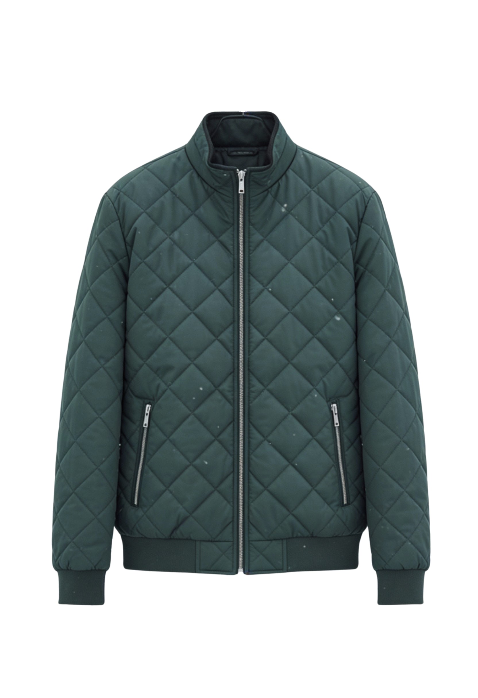 Quilted Winter Jacket